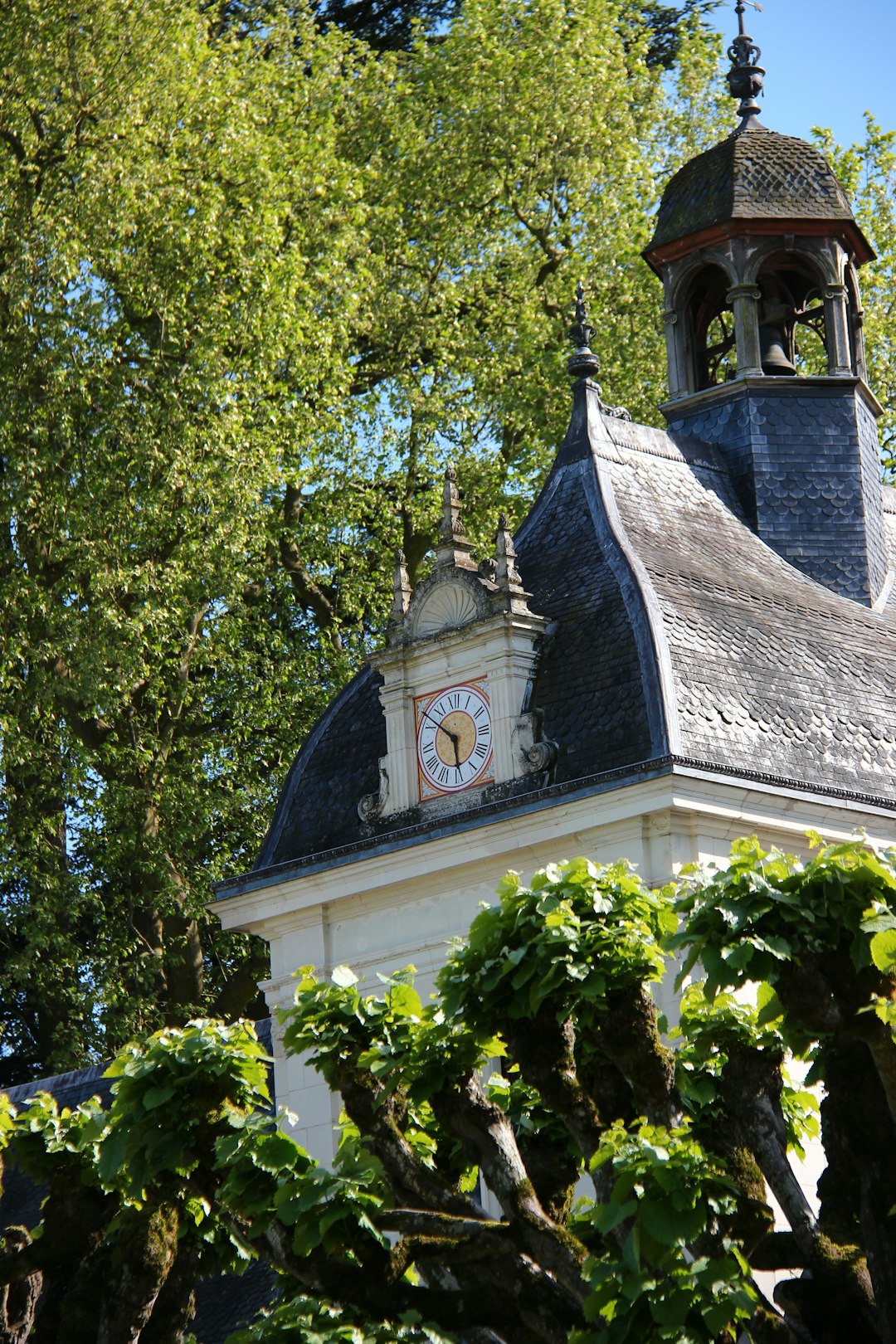City: Chenonceaux - Photo by Shalev Cohen