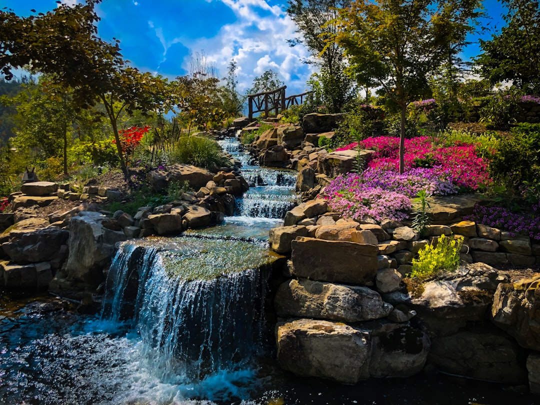 City: Gatlinburg - Photo by Dean