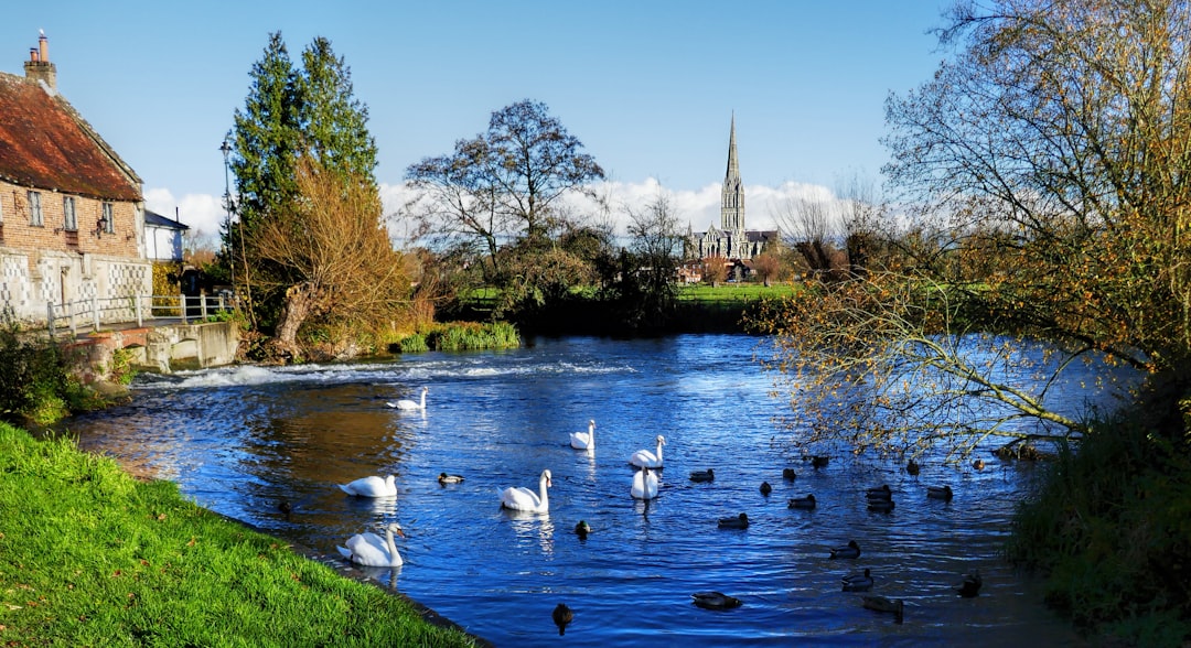 City: Salisbury - Photo by Andy Newton